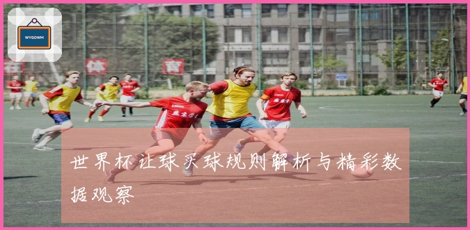 世界杯让球买球规则解析与精彩数据观察