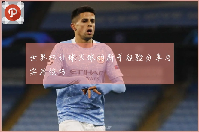 世界杯让球买球的新手经验分享与实用技巧